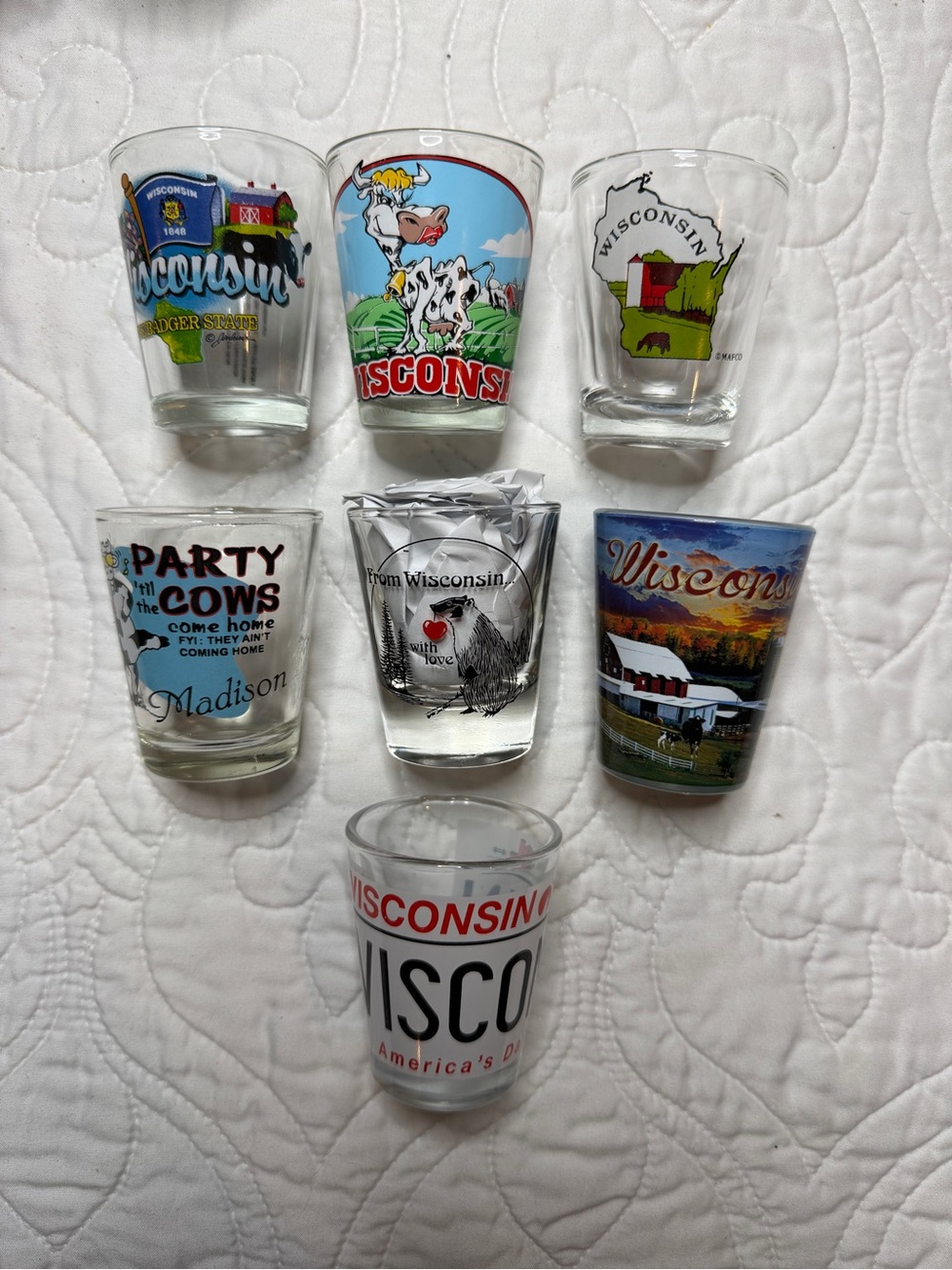 Wisconsin Souvenir Shot Glass Lot - Colorful State Designs